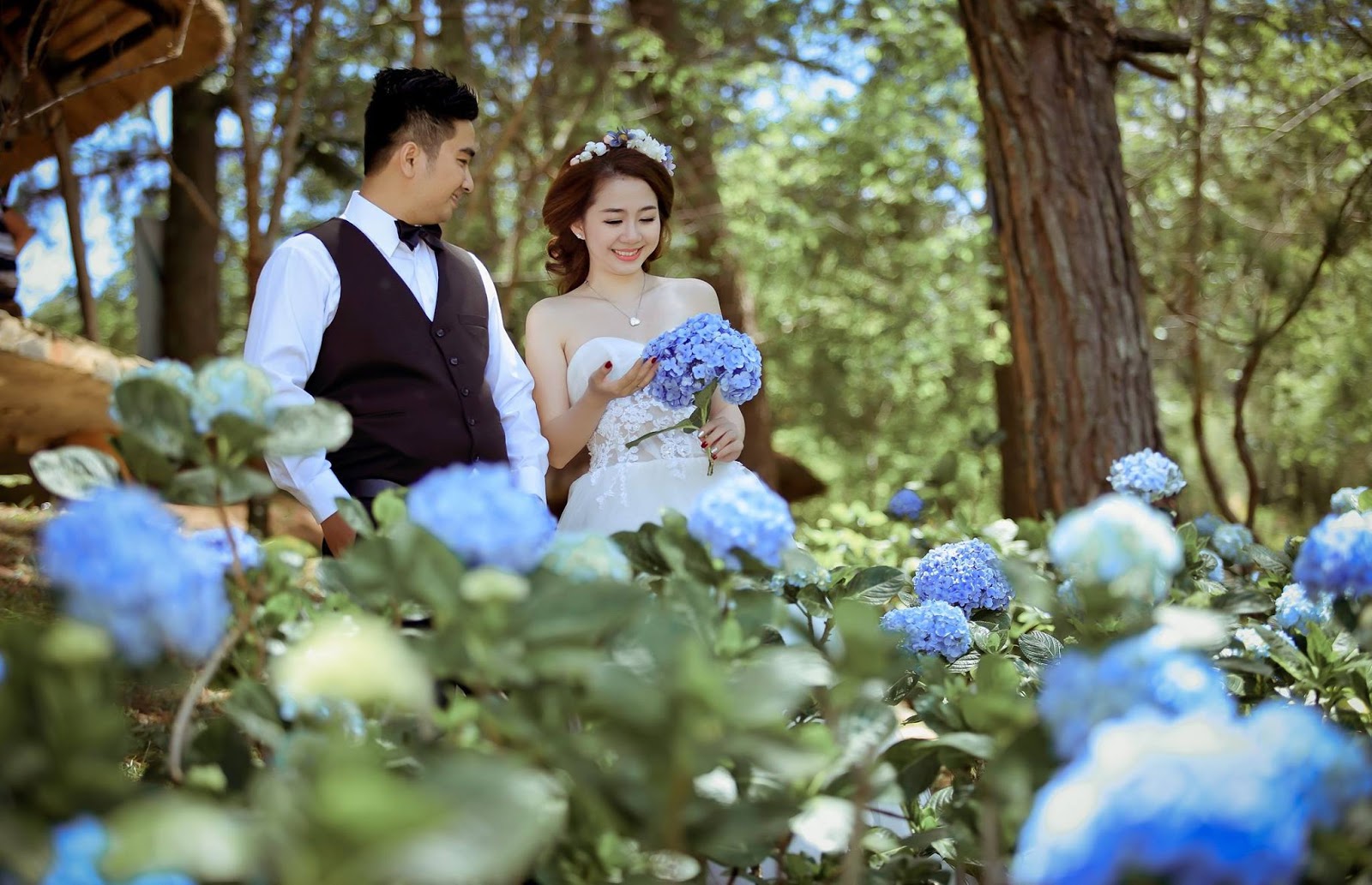 Ảnh cưới với hoa cẩm tú cầu tại Đà Lạt